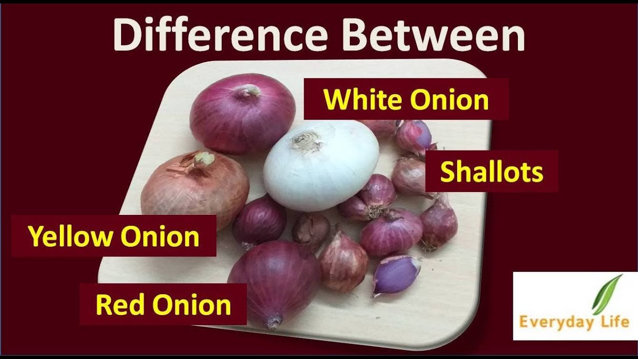 onion powder vs onion