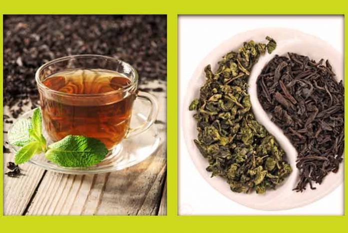 green tea vs black tea