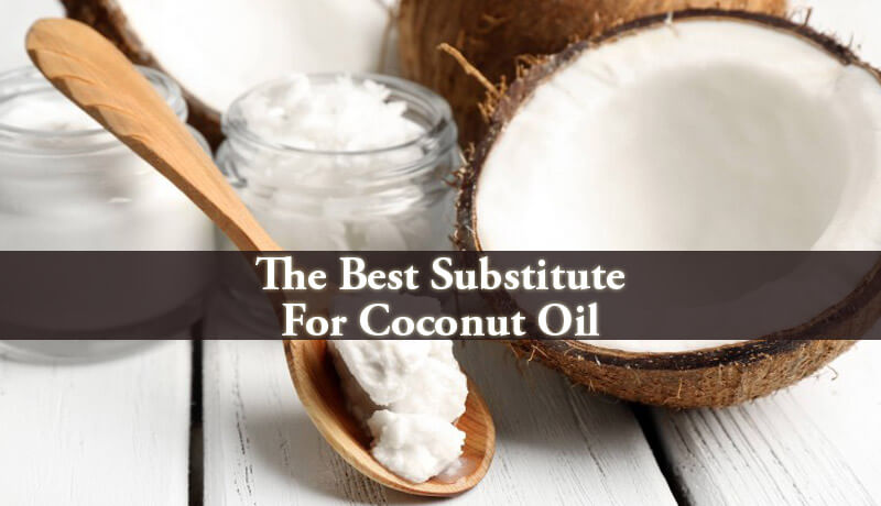 substitute for coconut oil