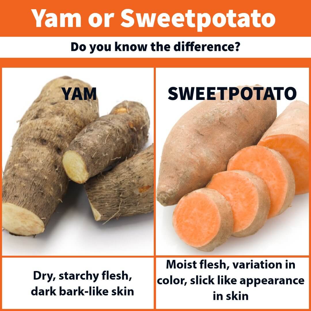 what does a yam look like