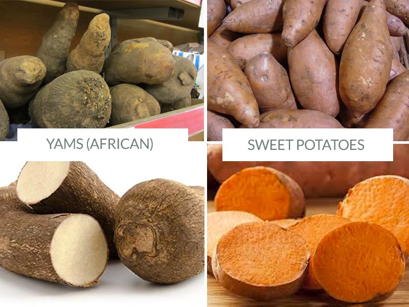 what does a yam look like