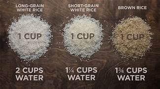 rice proportions rice cooker