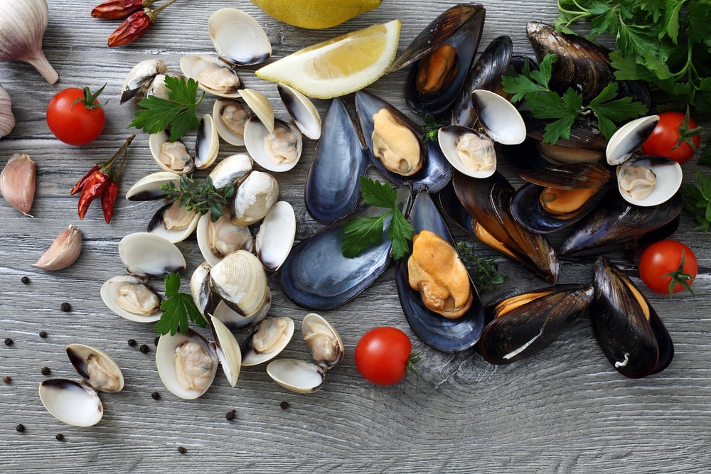 mussel vs clams