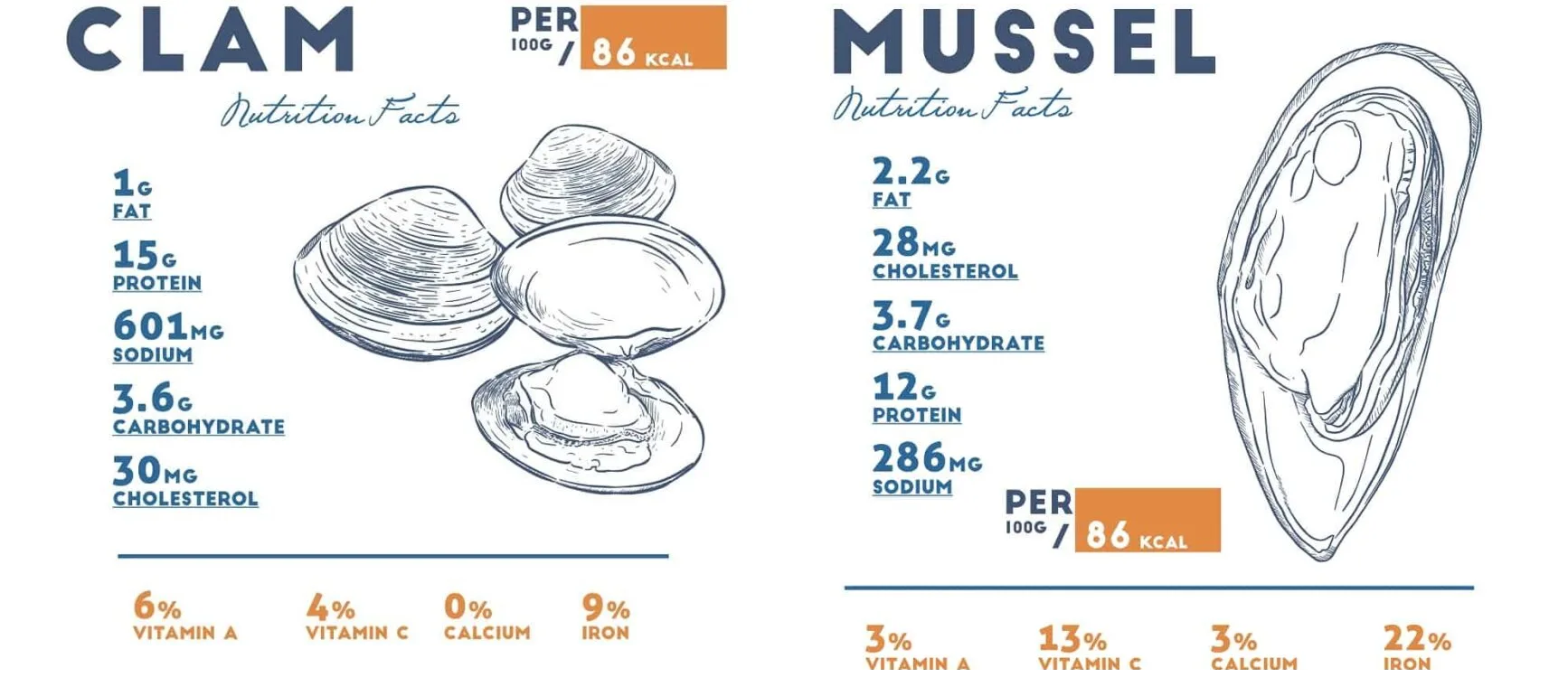 mussel vs clams