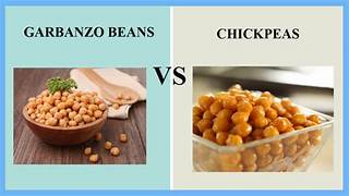 garbanzo bean vs chickpea