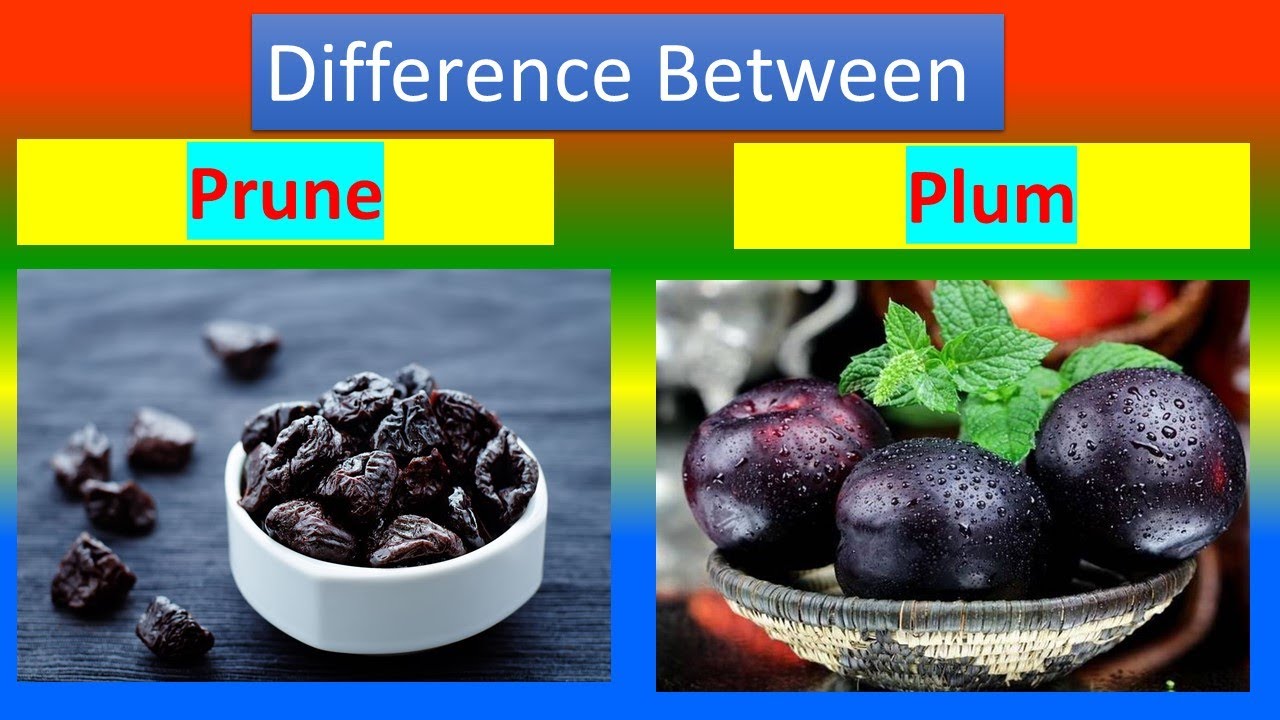 plums vs prunes