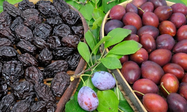 plums vs prunes