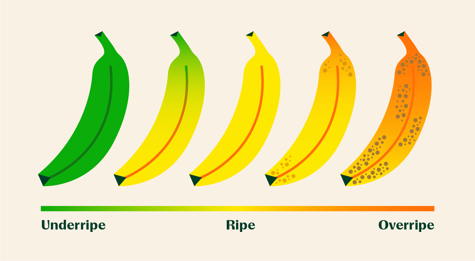 ripen bananas fast