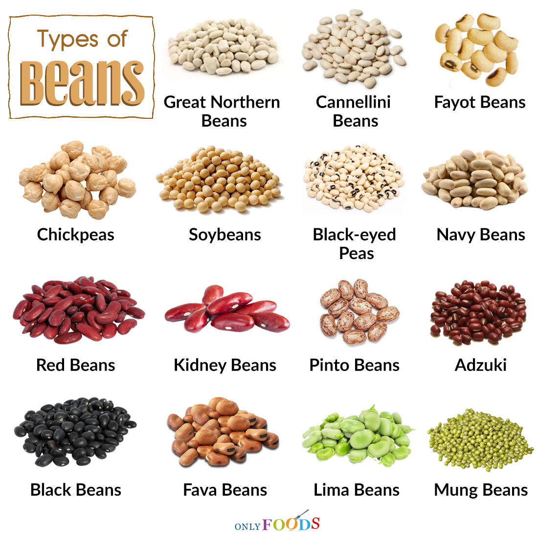 other names for cannellini beans