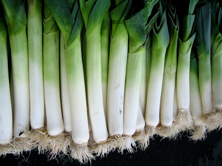 scallion vs leek