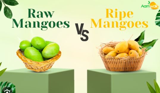 ripe mango vs unripe