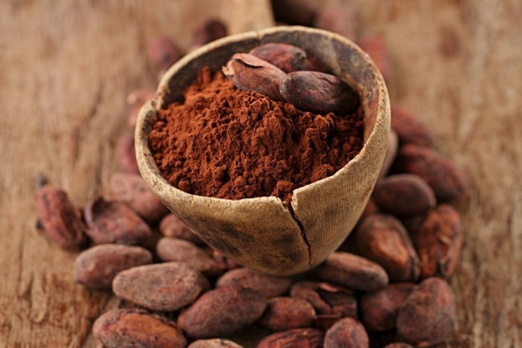 cocoa powder expire