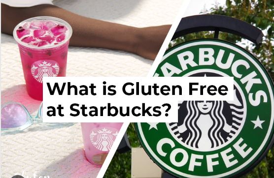 gluten free at starbucks