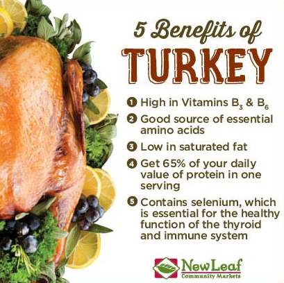 chicken or turkey healthier