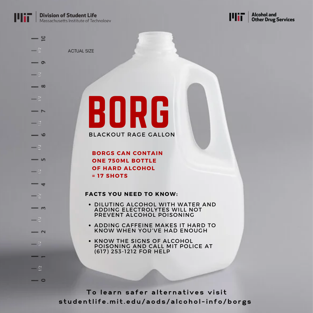 how to make a borg