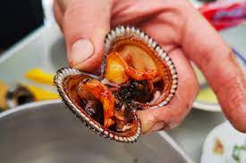 blood clam recipe