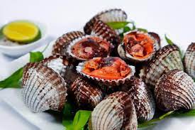 blood clam recipe