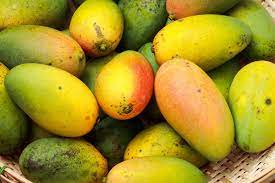 how to ripen mango fast