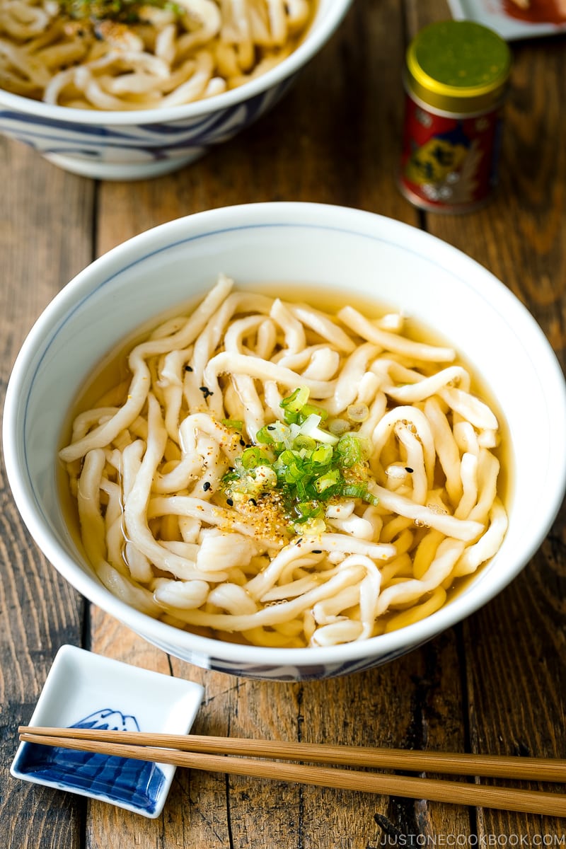 what is udon noodles