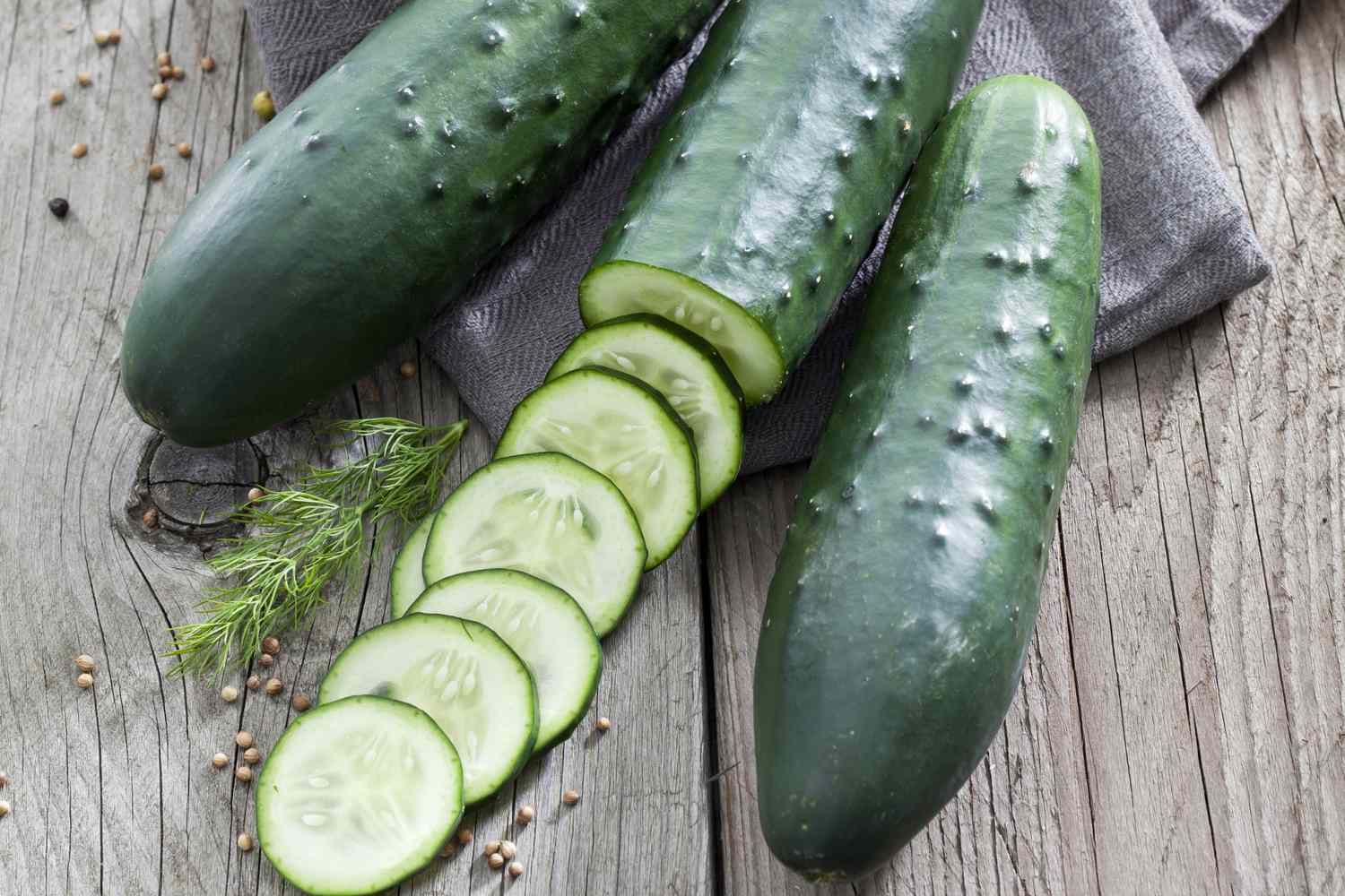 cucumber vs zucchini