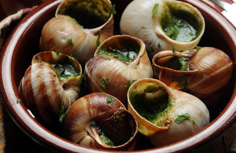 escargot