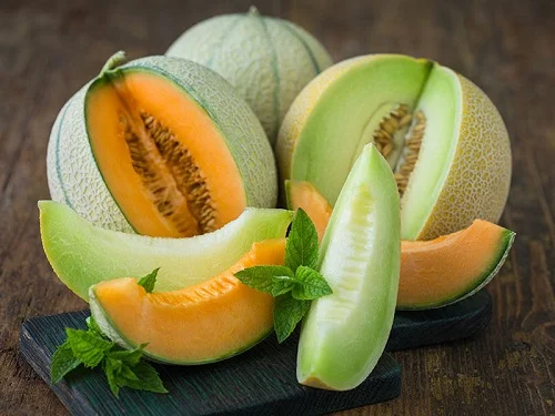 muskmelon vs cantaloupe