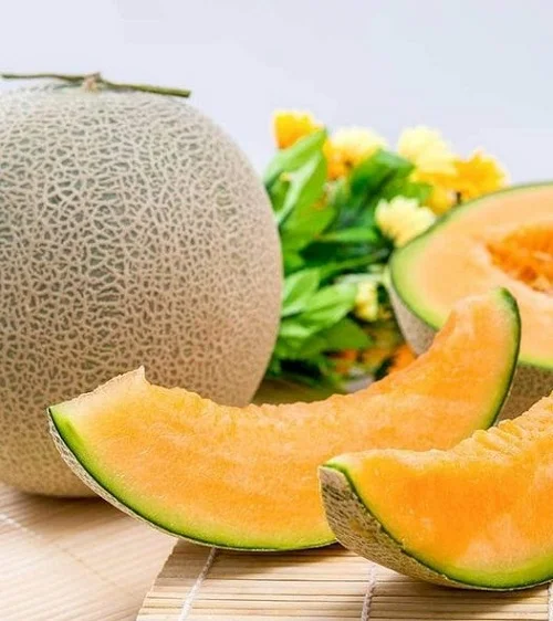 muskmelon vs cantaloupe