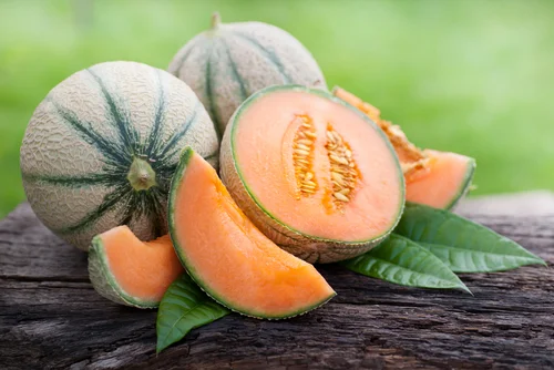 muskmelon vs cantaloupe