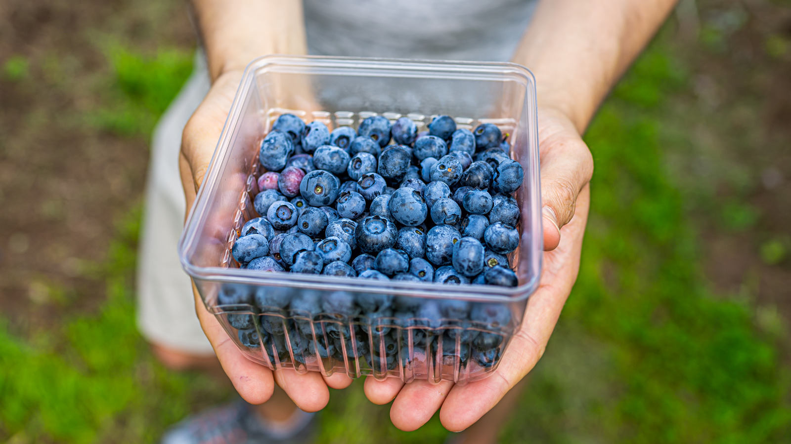 blue food