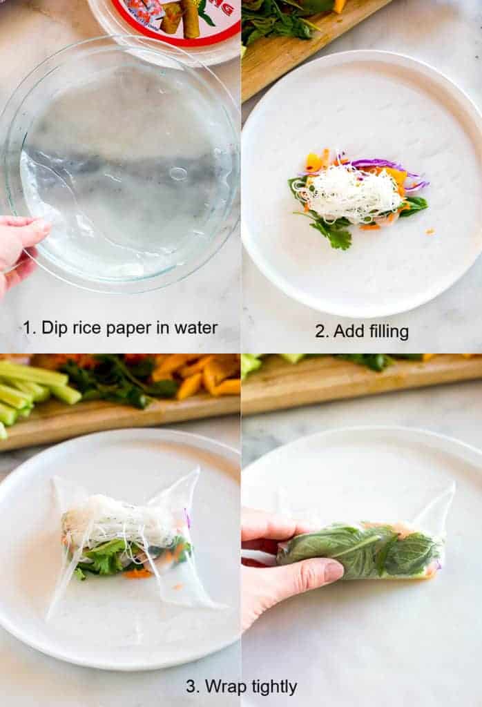 spring roll recipe