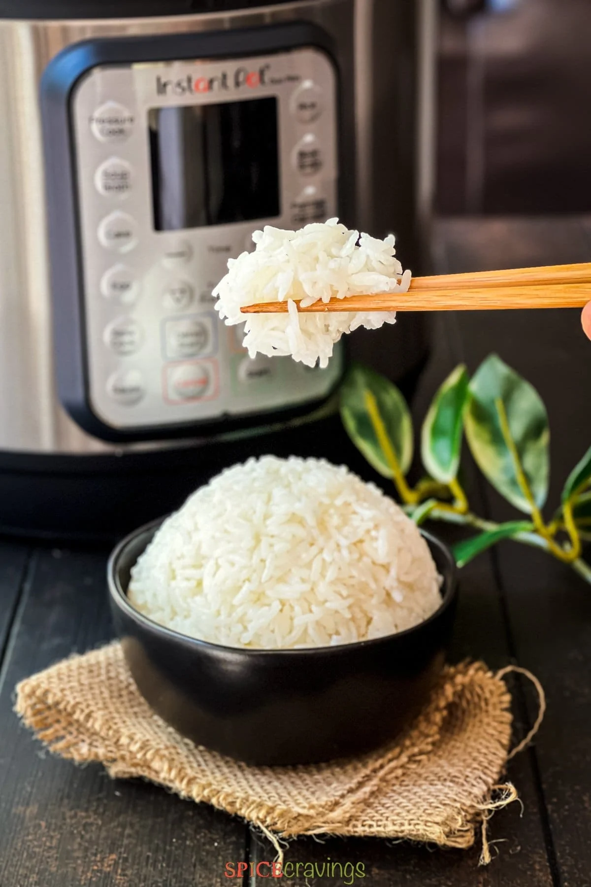 how to cook jasmine rice