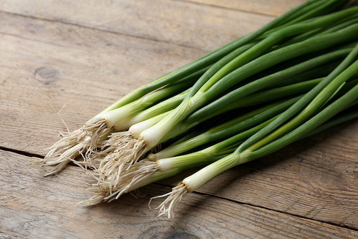 chives vs green onion