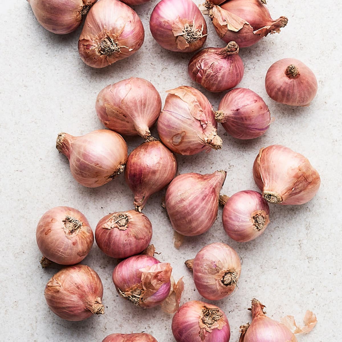 what is a shallot